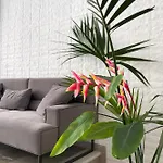 Aonia Luxurious Modern Boutique Διαμέρισμα *