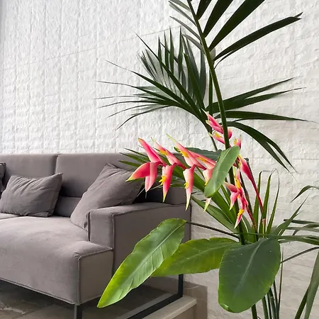 Aonia Luxurious Modern Boutique Apartment *