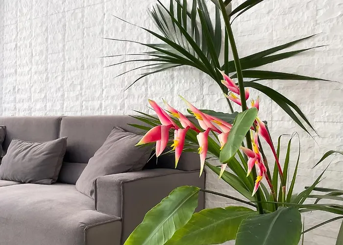 Aonia Luxurious Modern Boutique Apartment *